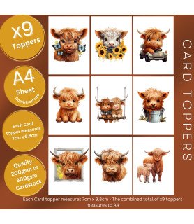 Cute Highland Cow Card Toppers