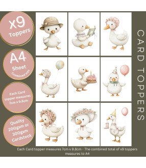 Baby Goose Birthday Bear Card Toppers
