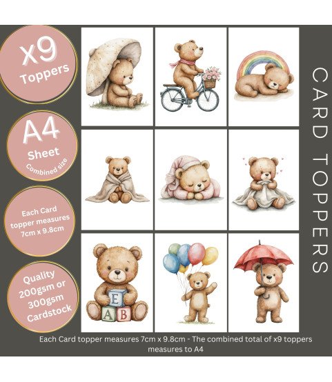 Baby Bears #1 Card Toppers